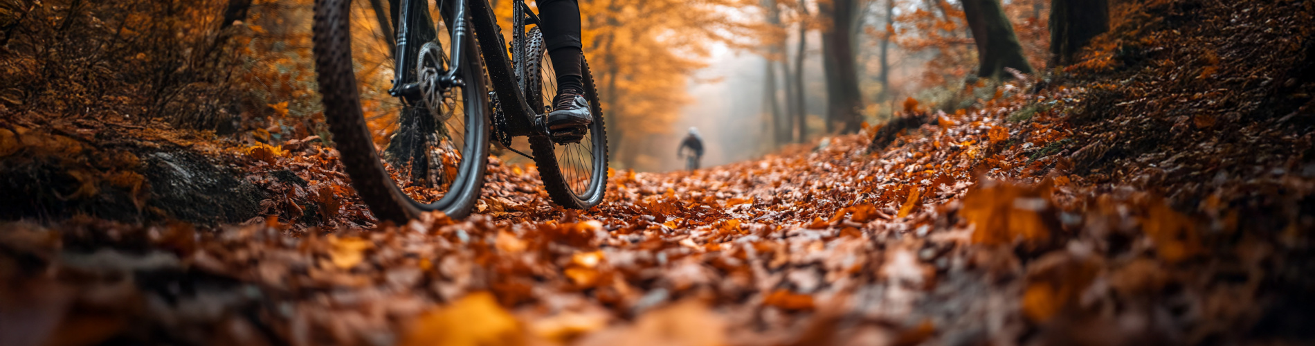 Fietsen van Freek